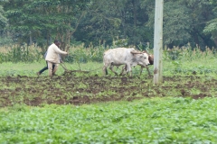 k-P1000311