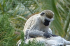 k-P1000352