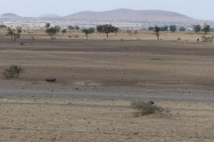 k-P1000377