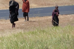 k-P1000385