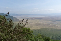 k-P1000501