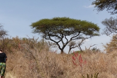 k-P1000566