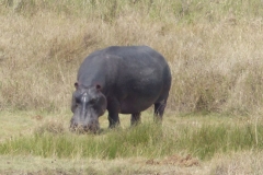 k-P1010011