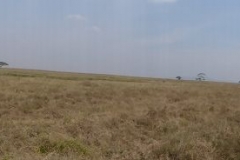 k-P1010023