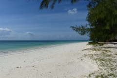 k-P1010382