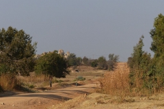 k-P1010602